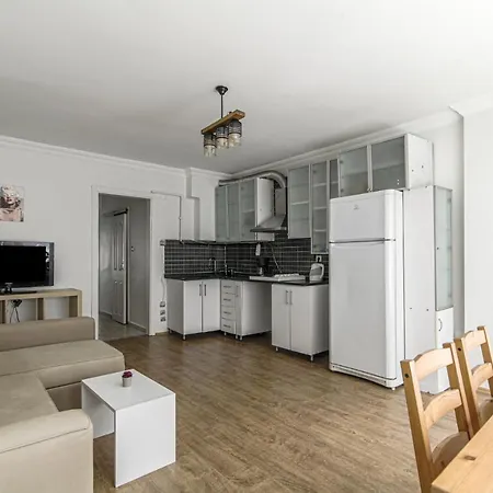 Furnished Bright And Chic Flat In Besiktas Appartement *